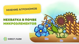 Как восполнить дефицит микроэлементов в почве?