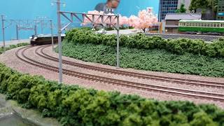 YUMMY順（N規）鐵道模型 2016/11/27 CTTC運轉會 E655系 なごみ（和） 5両セット」＆「特別車両」03