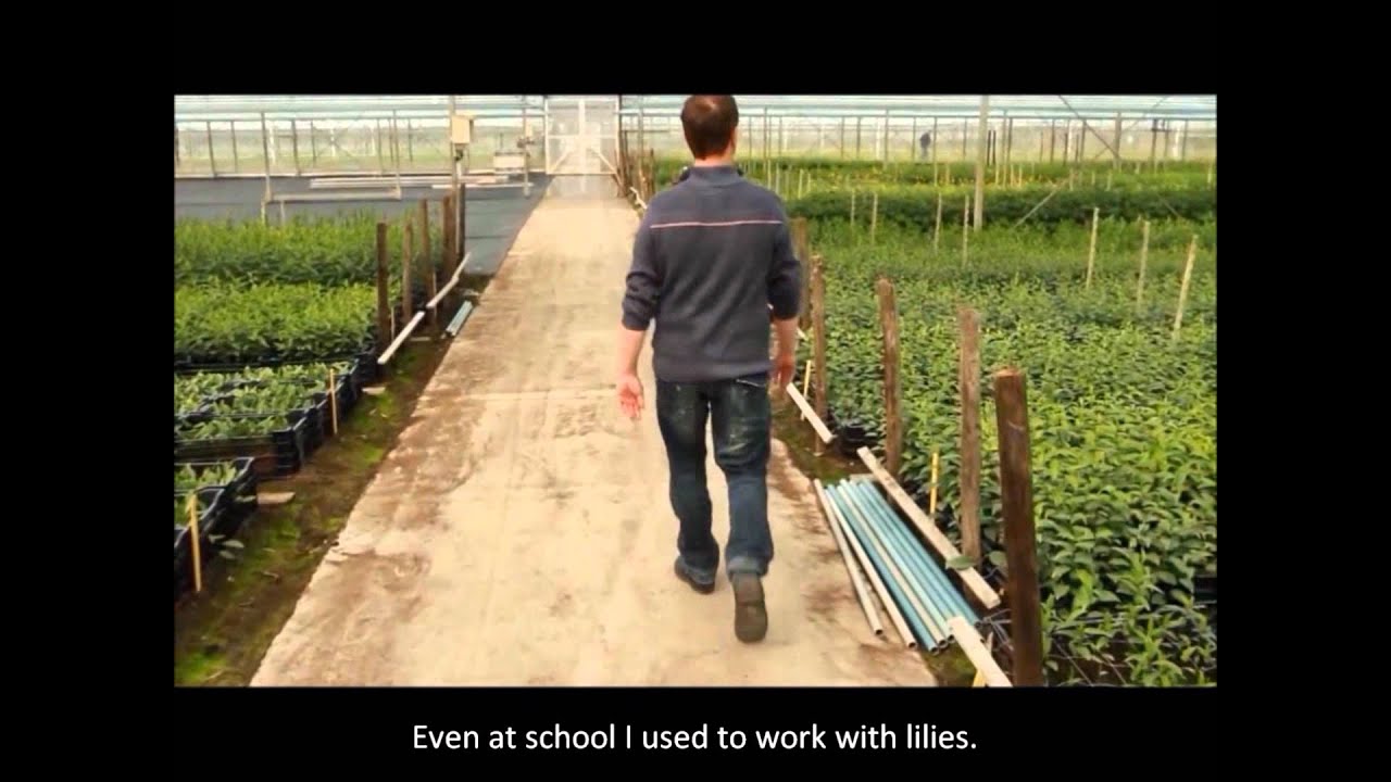 Interview Lily Company & Bot Flowerbulbs - YouTube