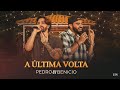 RARA METADE - PEDRO E BENICIO