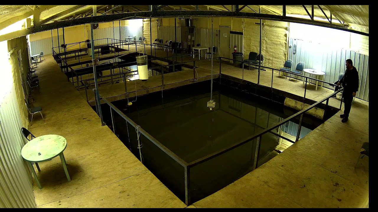 Belle Starr Marina Live