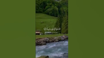 تلاوة هادئة تريح الأعصاب 😴🎧 القارئ: طارق محمد سورة: فصلت 💙❤
