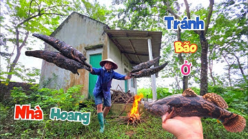 Thử Một Ngày Đi Mò Hết Các Hang Xem Bắt Được Bao Nhiêu Cá Và Nướng Ăn Trong Vườn Hoang / Quế Nghịch