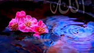 Dini Statuslar.. Qebir Evini Unutma