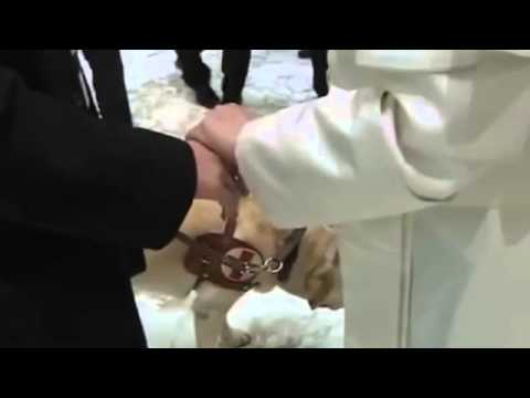 რომის პაპმა ვატიკანში საკვირაო ქადაგება ცხოველებზე საუბარს დაუთმო