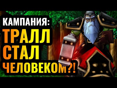 Видео: ТРАЛЛ стал ЧЕЛОВЕКОМ?! Предыстория Орды за Альянс в Warcraft 3 Reforged