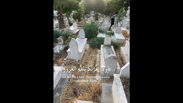 فلا تغرنكم الحياة الدنيا - 🥀 تلاوة خاشعة ومؤثرة للشيخ ياسر الدوسري 💙🌿