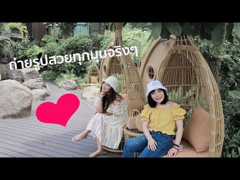 ดำเนินพวารีสอร์ท - บ้านต้นไม้ อัมพวา