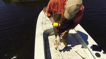 From The Poling Platform: Part 2