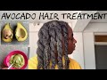 EXTREME Deep conditioning Protein Treatment for Hair Growth.. Avocado Hair Masque