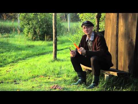 Video: Rudens Darbi Dārzā Un Sakņu Dārzā