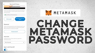 How to Change Metamask Account Password? (2022)