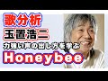 【歌分析】玉置浩二さん「Honeybee」 / LIVE.take