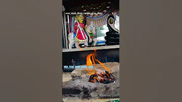 Tejail Sakar Love Baba Viral Youtube And Instagram This Video 