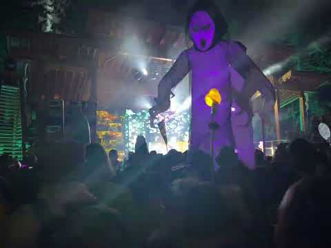 Emancipator @ The Grove Shambhala 2025 (1)