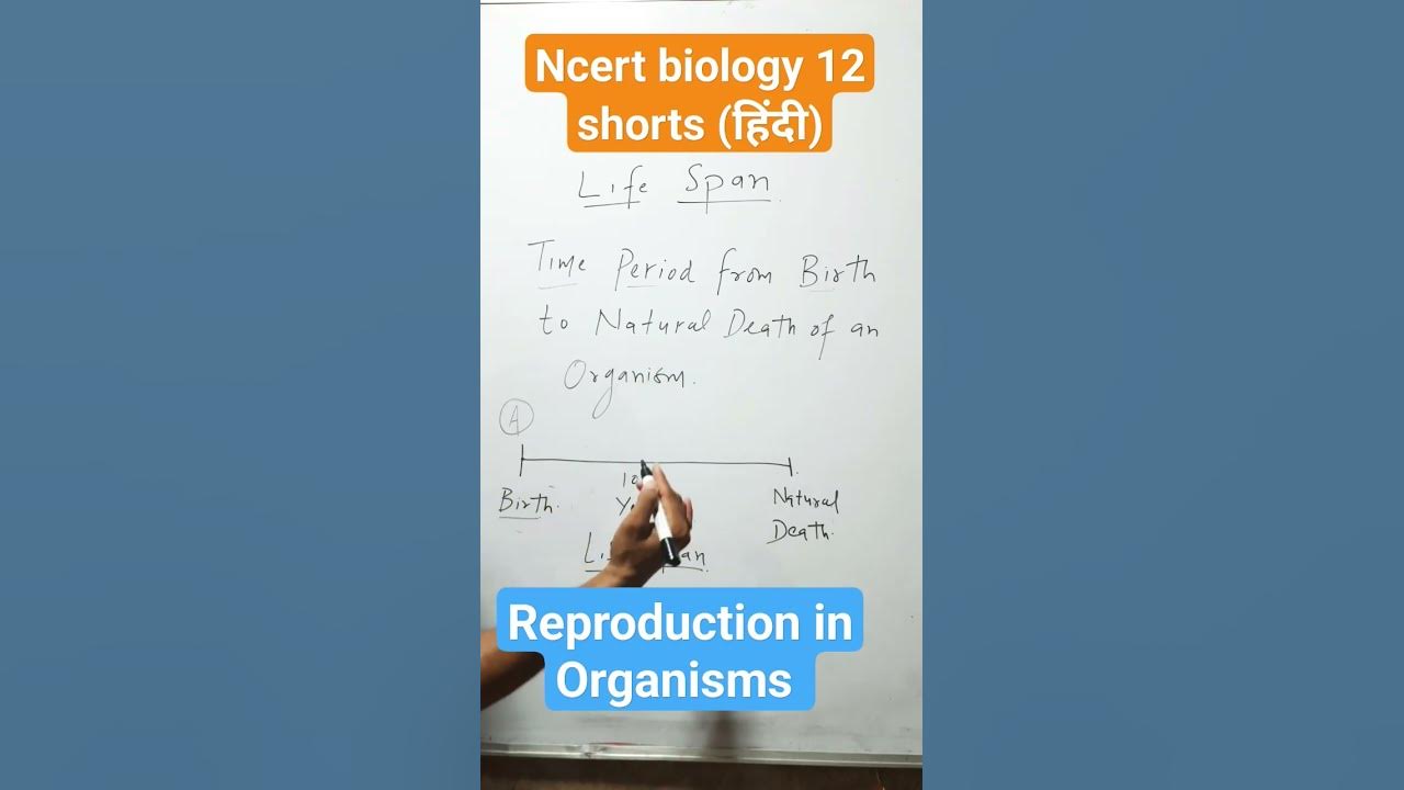Life Span Ncert Biology 12 Shorts Reproduction In Organisms life-span-ncert-biology-12-shorts-reproduction-in-organisms