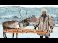 قضيت يوم كامل مع الشعب الأصلي للقطب الشمالي - شعب السامي | Arctic Circle