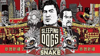 Sleeping Dogs: Year of the Snake DLC Full Walkthrough Gameplay - No Commentary (PC)