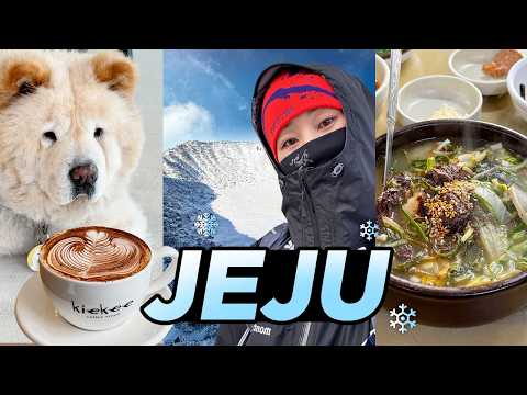 [나혼자제주✈️] 겨울 제주에 가야하는 이유❄️ 5박 6일 한라산🏔️4코스 정복! 라떼 맛집☕️ (키에키커피, 코스모파치, 미풍해장국, 호우코우, 삼보식당, 천일만두)