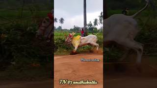 Vellore Eruthukattu Tamil