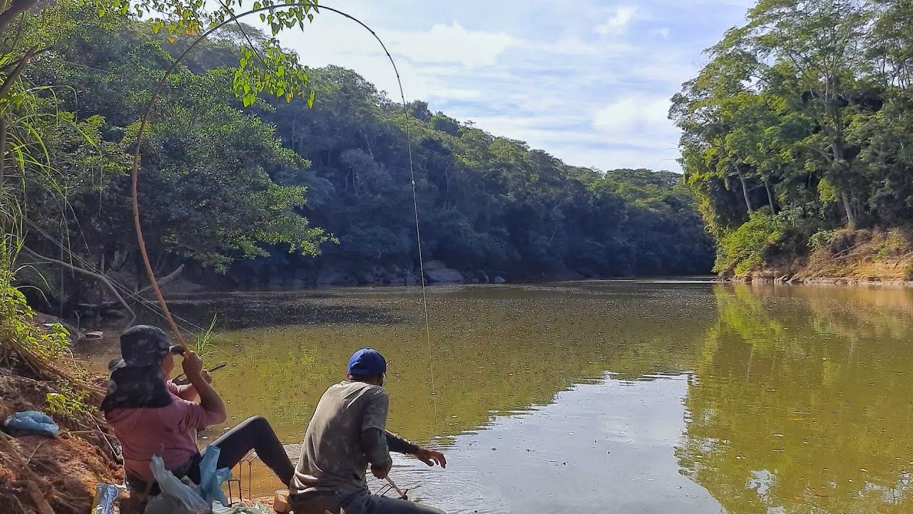 Ela assustou com o tamanho do gigante que fez isso com a varinha de bambu, pescaria!