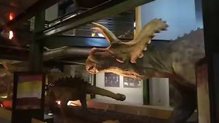 Big dinosaurs in Natural museum, Heraklion, Crete, Greece