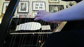 Watch Christy Moore Yellow Furze Woman video