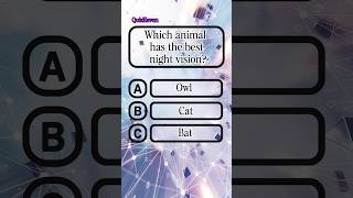 Which animal has the best night vision?#quiz #quiztime #generalknowledge #knowledge #trivia