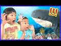 サメハンターから逃げろ！大流行中のパパ考案サメゲームで遊ぶ家族