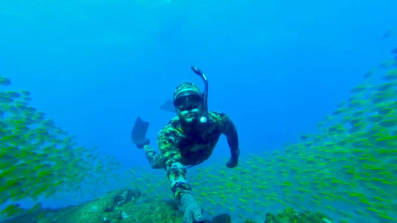 Freedive & spearfishing Sunshine Coast. Mulloway, Cod & Triggerfish