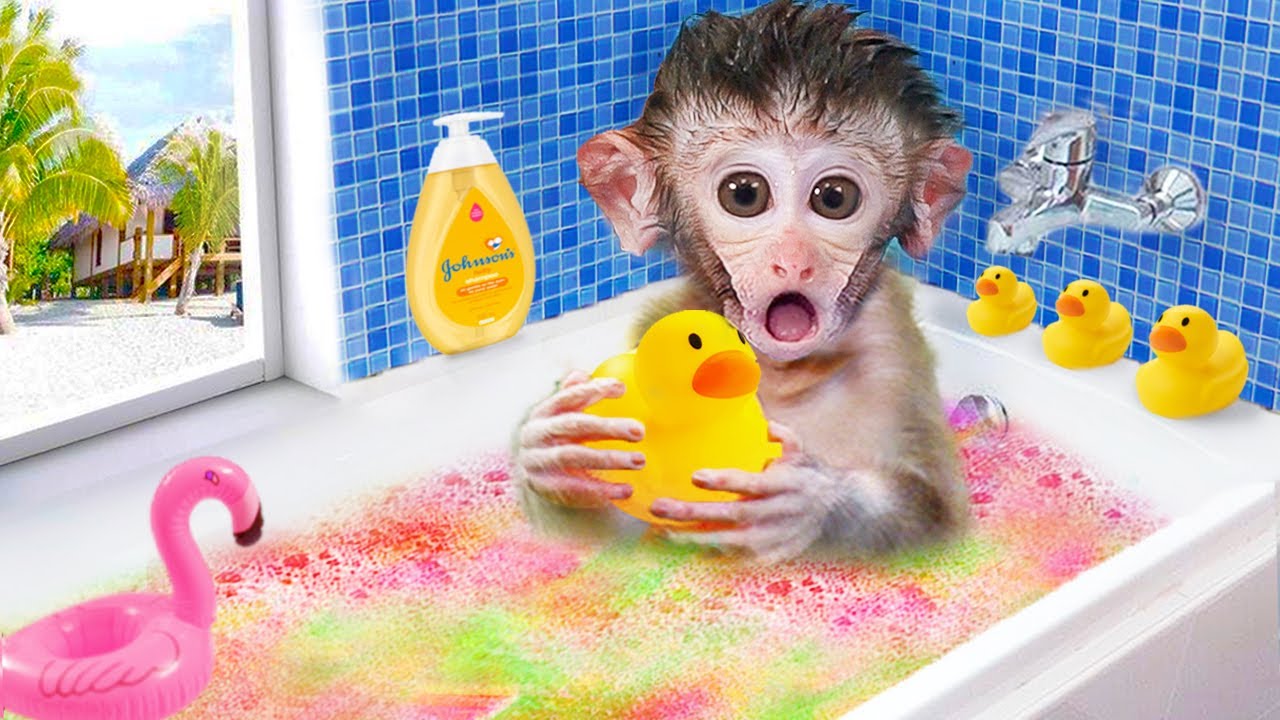 Cute monkey baby bath in the rainbow bathtub with duck