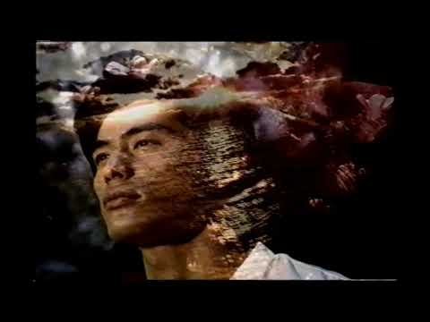 【懐かしいCM】JAL　日本航空　坂口憲二 （30秒編）2003年　Retro Japanese Commercials