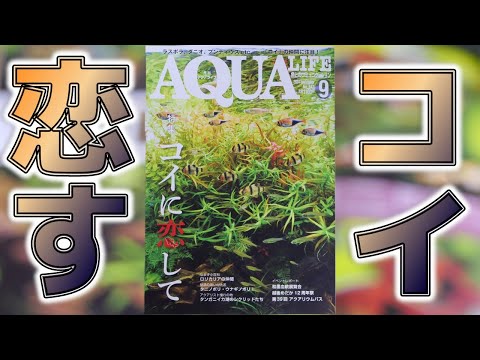 本】歯を捨てる事で種の拡大に成功したコイ科魚種。滅多にないコイの