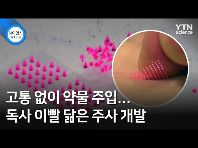 고통 없이 약물 주입...독사 이빨 닮은 주사 개발 / Ytn 사이언스 - Youtube