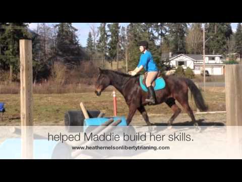 Create a well rounded horse with liberty - Indy Create a well rounded horse with liberty - Indy