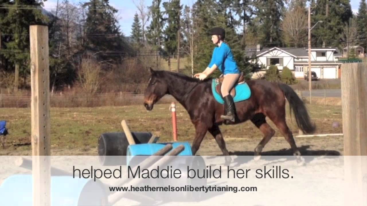Create a well rounded horse with liberty Indy YouTube
