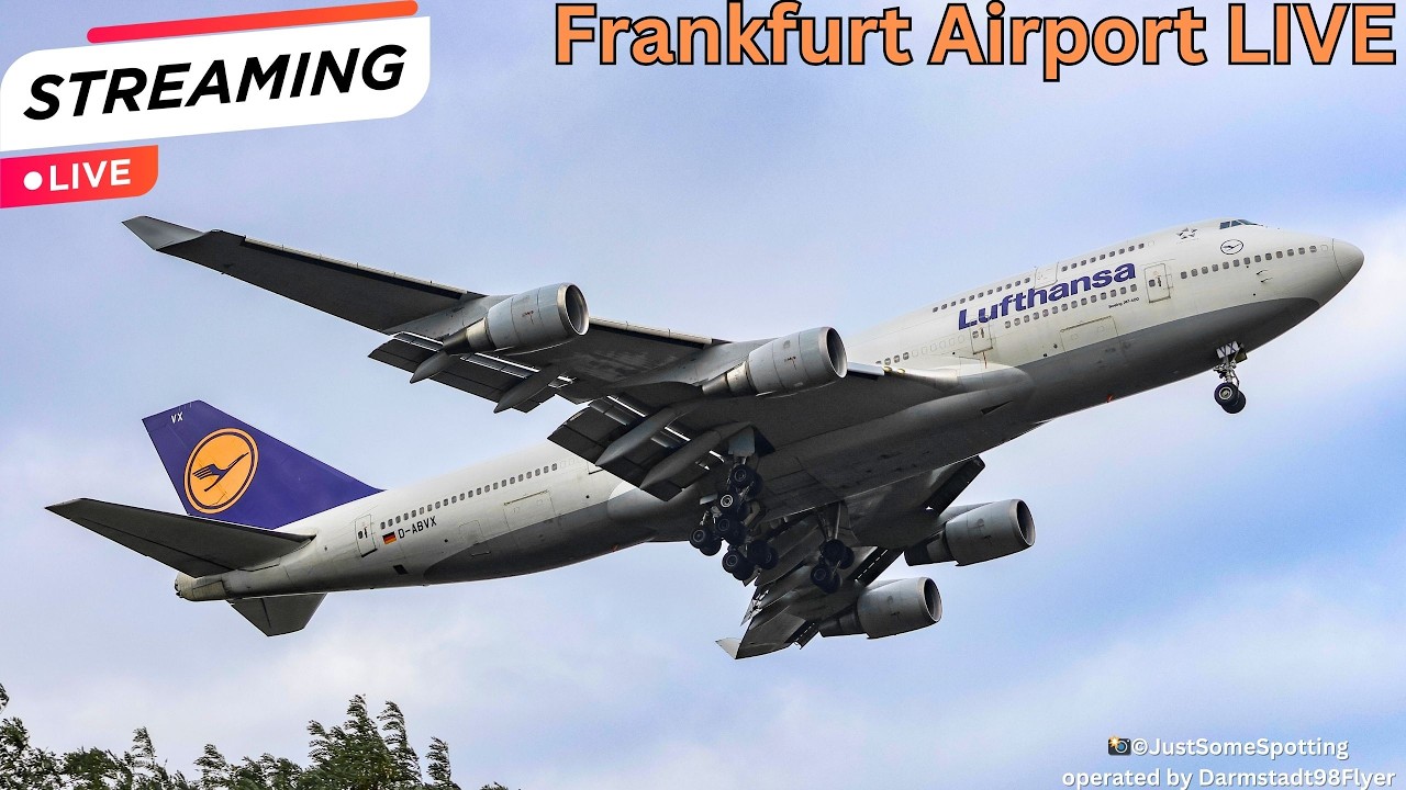 ✈️ Upside down & Kopfüber am Flying Friday | Frankfurt Airport | #frankfurtairport #planespotting