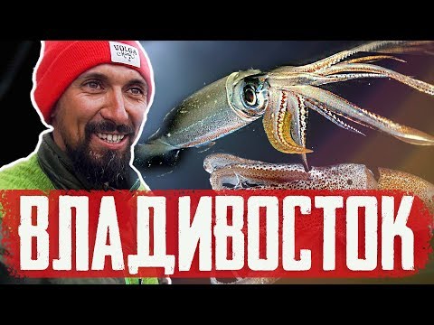 Видео: Где ловят кальмаров?