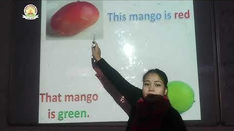 DAV SCHOOL TUTORIALS CLASS  NURSERY ENGLISH REVESION BY ESTHER MISS