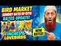 The biggest Bird's Market in Pakistan latest Update lalukhet market 14-6-26