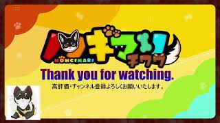 【初代ポケモン】視聴者が選んだポケモンで殿堂入り目指すワン　8回目