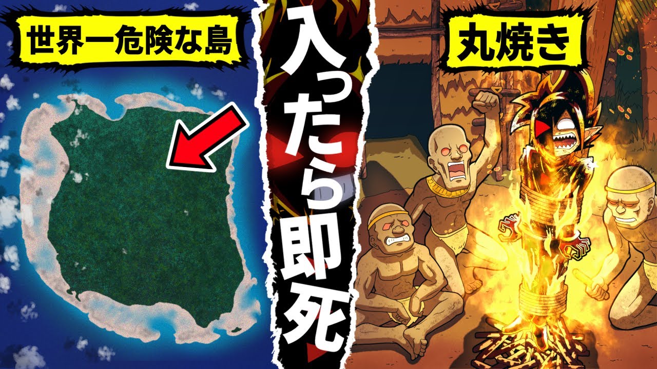 【謎】入ったら死ぬ!?実在する世界最後の秘境とは…【北センチネル島】