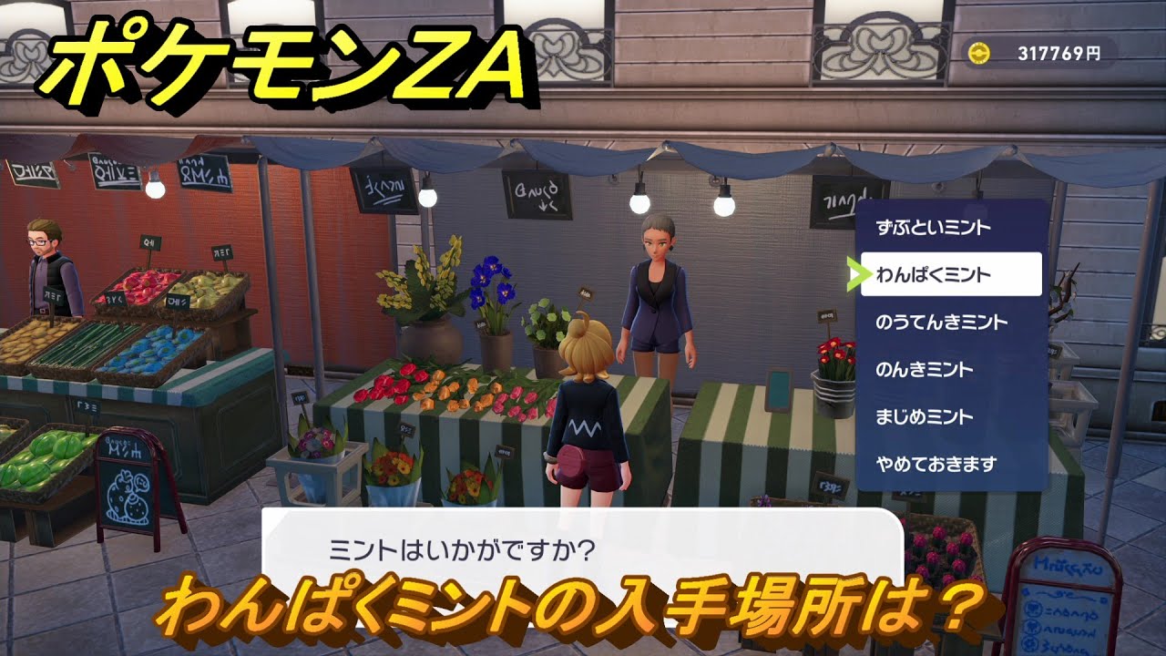 ポケモンZA わんぱくミントの入手場所は？ ＃66 【DLC「M次元