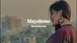 Mayabono Biharini [Slowed Reverb]