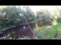 Форелька на 300 (видео-отчет) рыбалка июнь 2015 Ловля форели на спиннинг