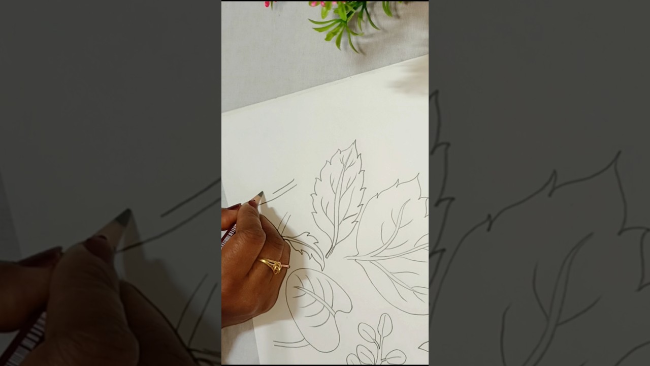 how to draw different types of leaves