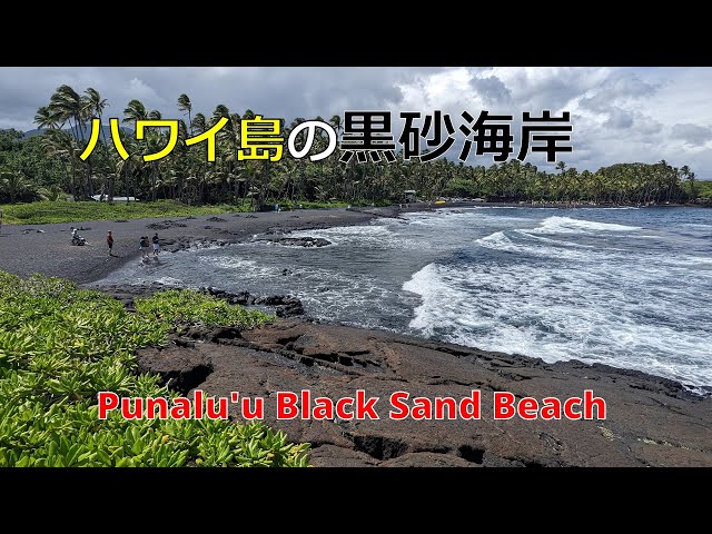 ハワイ島の黒砂海岸 プナルウ・ブラック・サンド・ビーチ - YouTube