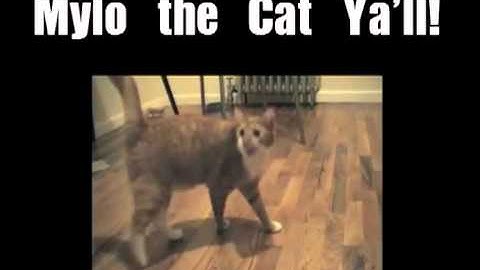 Shortest Video on Youtube Part 9