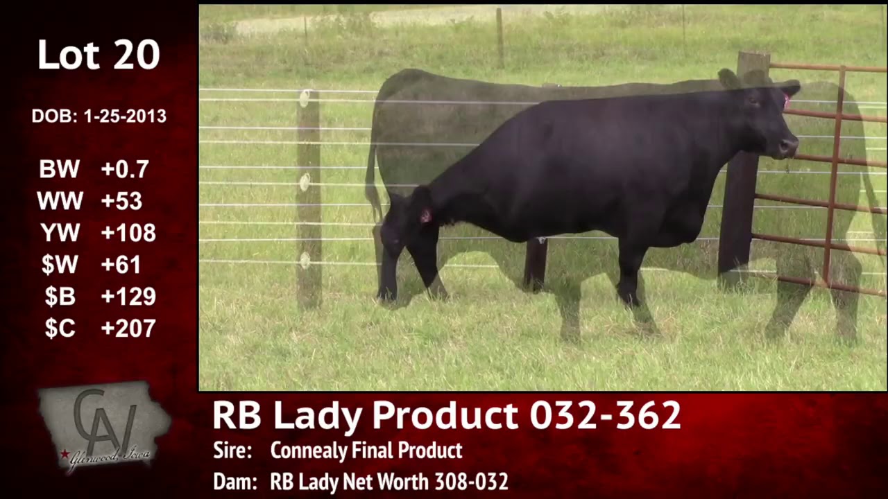 angus tasty Crouch Angus Valley Lot 20