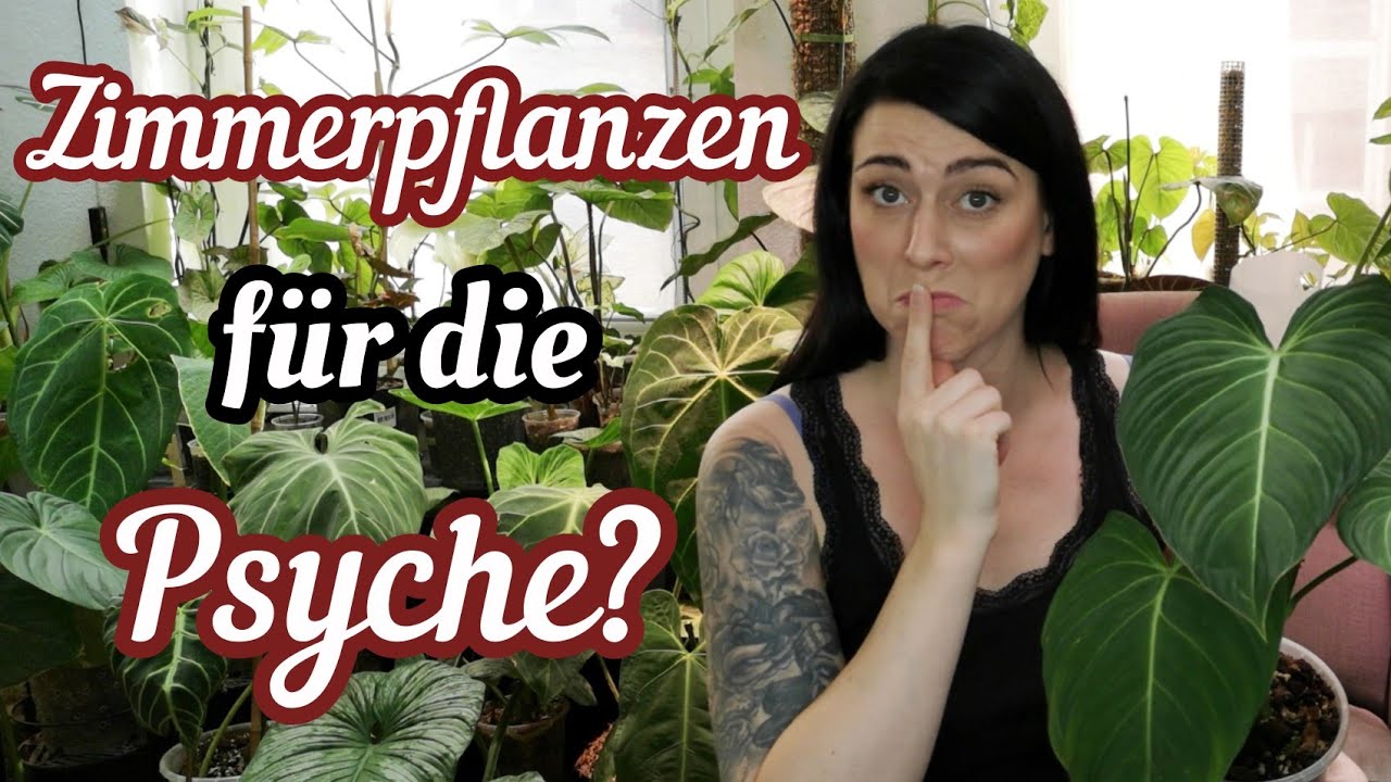 saatgut Bunter Gemüsebalkon – Gemüse Saatgut-Set für Balkon & Kübel – Gardenox-Natur